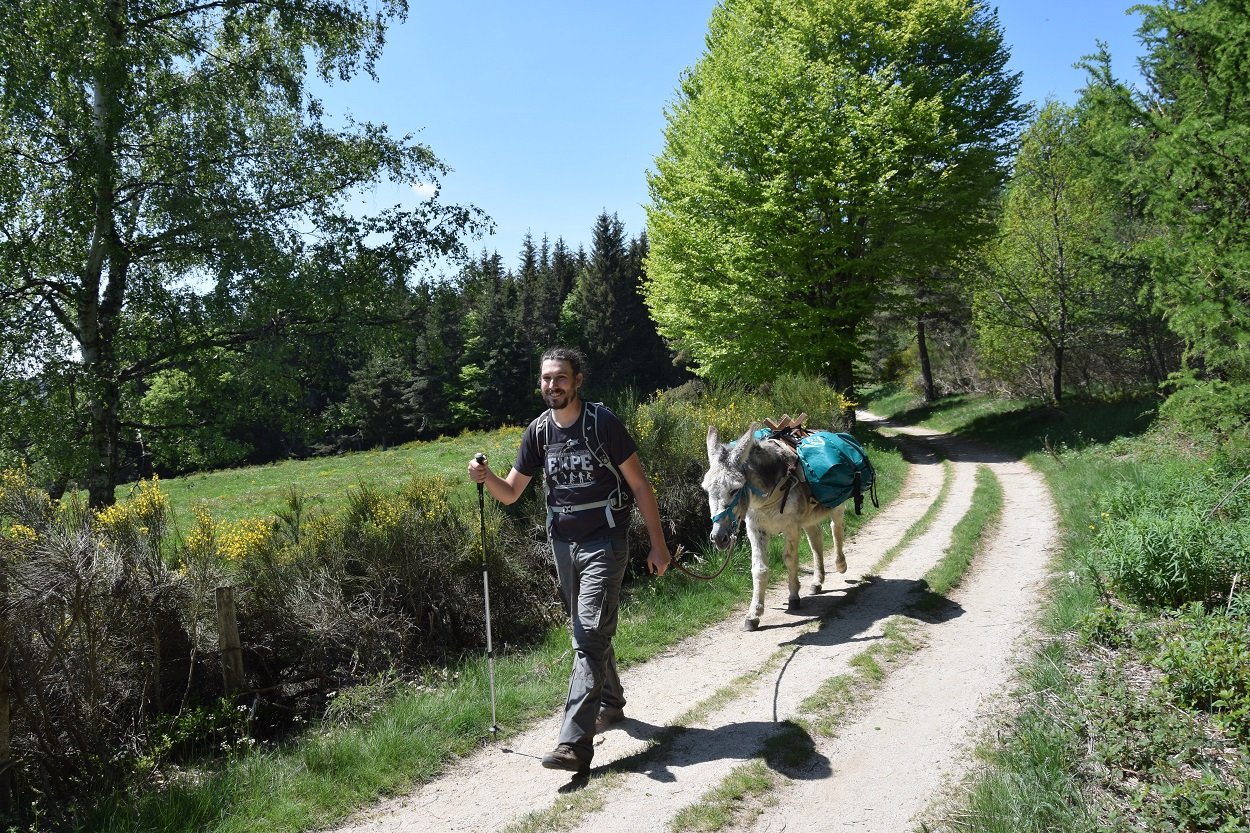 Grandes randonnées - Les Ânes des Monts d'Ardèche